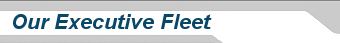 American Limo Fleet