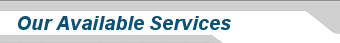 American Limo Services